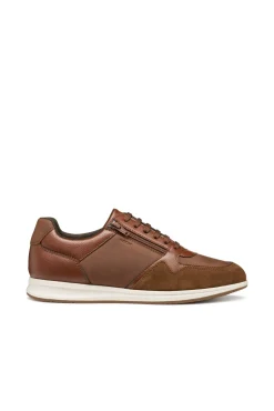 Geox Sneakers-Avery Desportiva Castanho