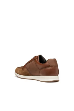 Geox Sneakers-Avery Desportiva Castanho