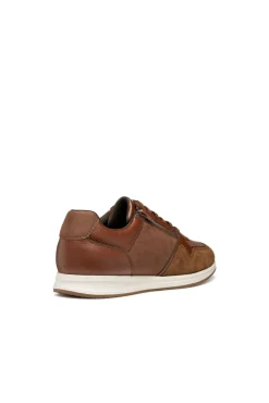 Geox Sneakers-Avery Desportiva Castanho