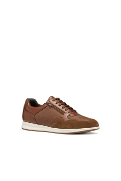 Geox Sneakers-Avery Desportiva Castanho