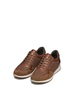 Geox Sneakers-Avery Desportiva Castanho