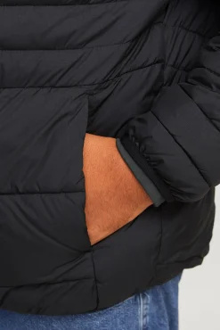 Jack & Jones PLUS Casacos-Blusão acolchoada leve PLUS preto