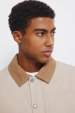 Springfield Casacos-Blusão de gola de veludo cotelê bege