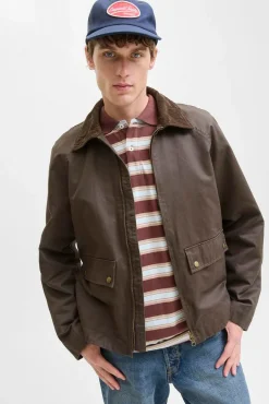 Jack & Jones Casacos-Blusão de gola de veludo cotelê castanho