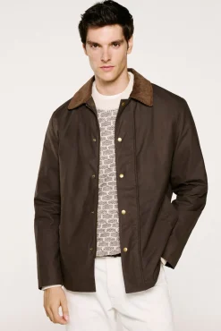 Selected Casacos-Blusão de gola de veludo cotelê 100% algodão orgânico Castanho