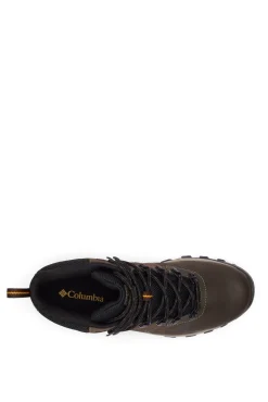 Columbia Botas-Botas Impermeáveis Newton Ridge Plus II para homem castanho