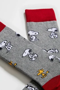 Besocks Meias|Meias-Calcetines altos de algodón orgánico color gris cinzento