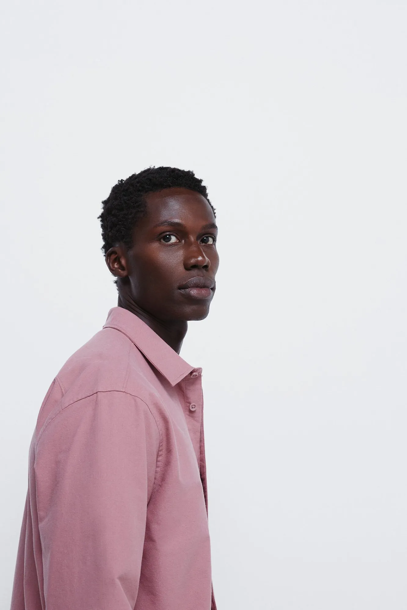 Springfield Camisas-Camisa Oxford colorida rosa