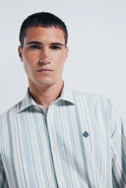 Springfield Camisas-Camisa oxford riscas verde