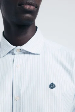 Springfield Camisas-Camisa oxford riscas azul