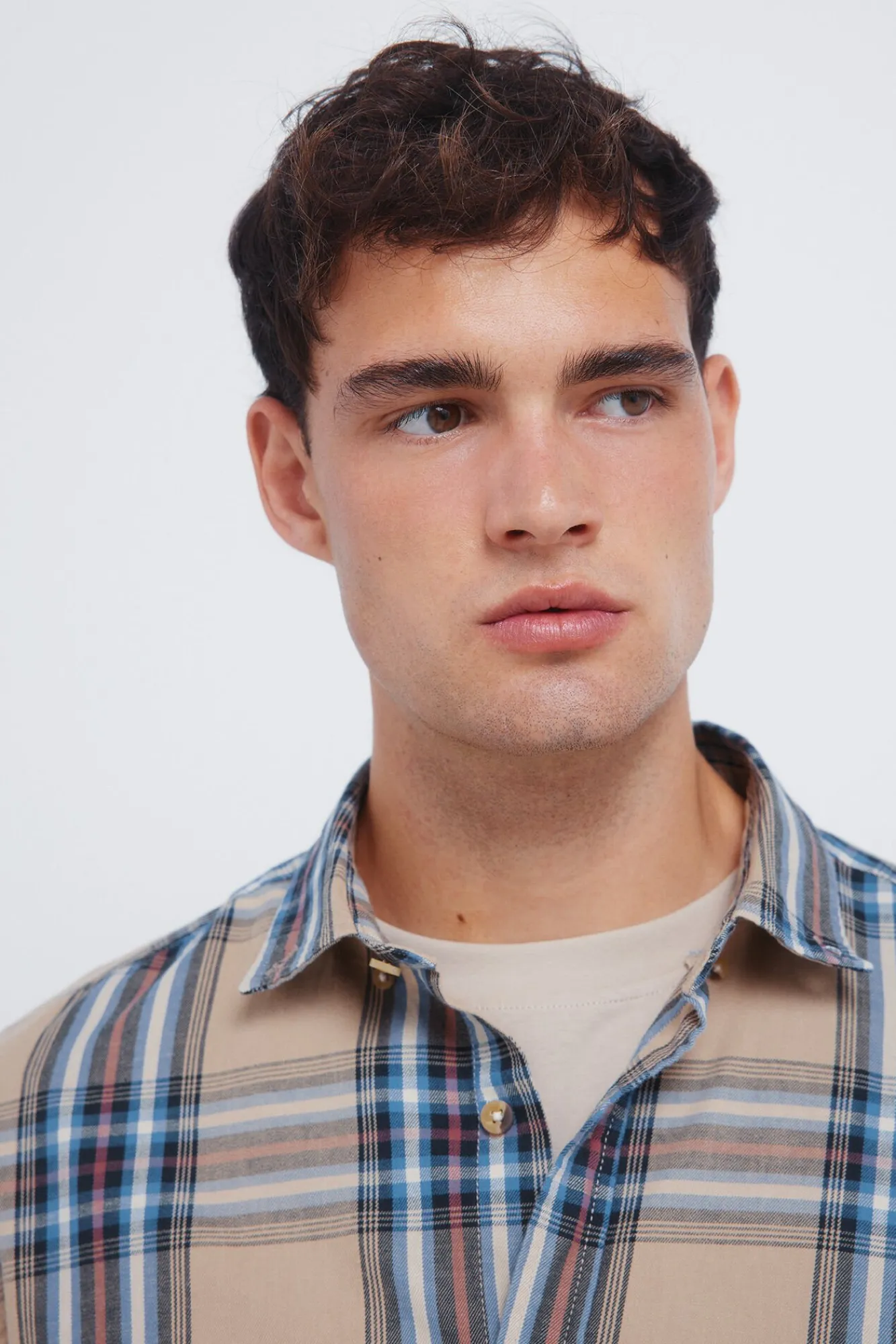 Springfield Camisas-camisa xadrez tartan amarelo