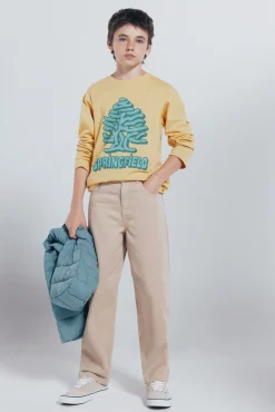 Springfield Kids T-Shirts-Camiseta manga comprida árvore amarela para meninos amarelo