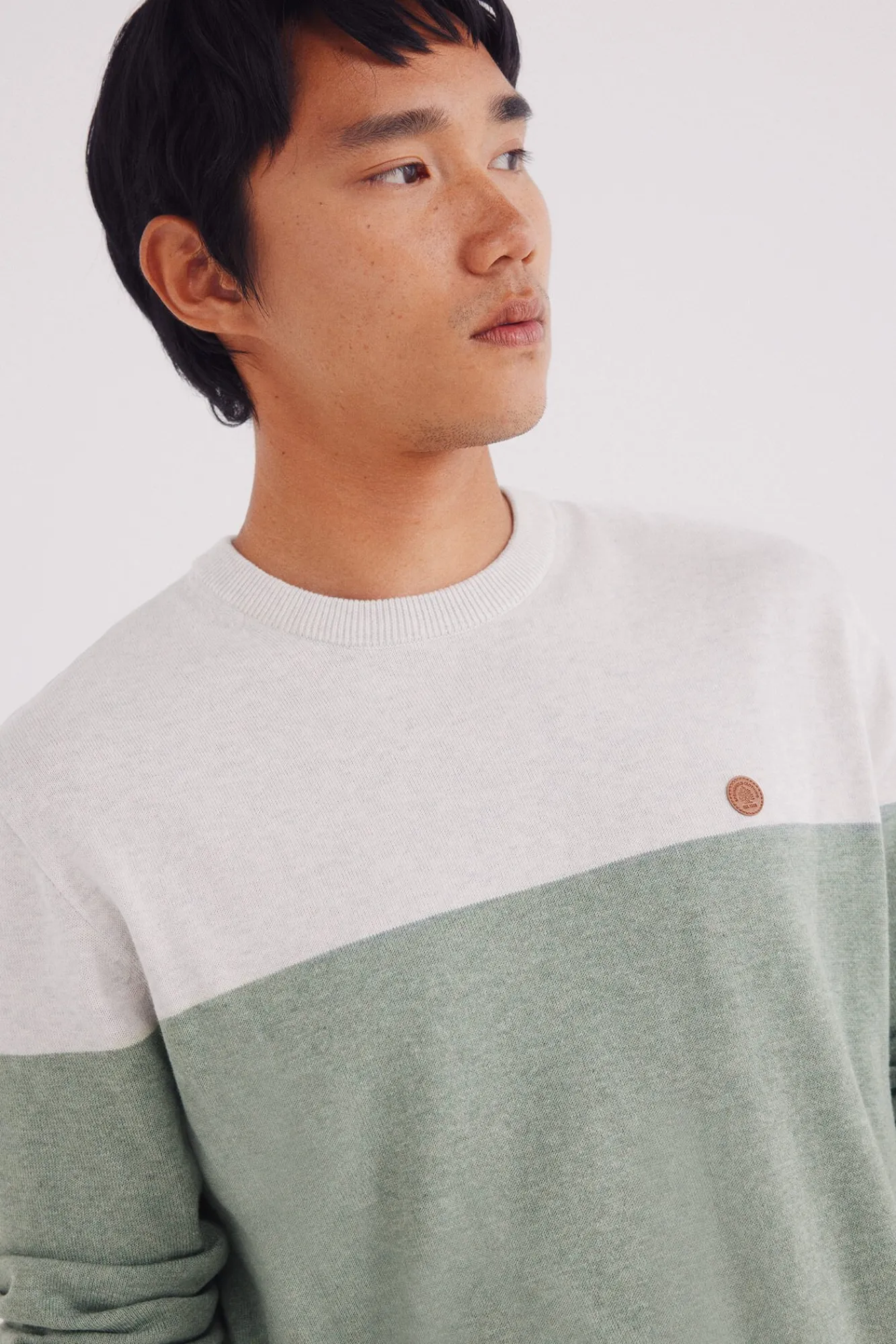 Springfield Camisolas-Camisola básico com blocos de cores verde