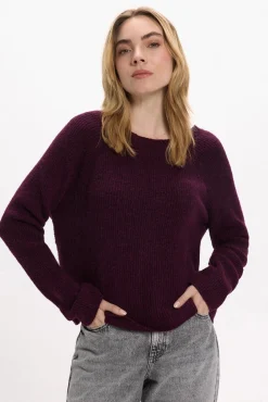 Vila Camisolas-Camisola de lã reversível Roxo