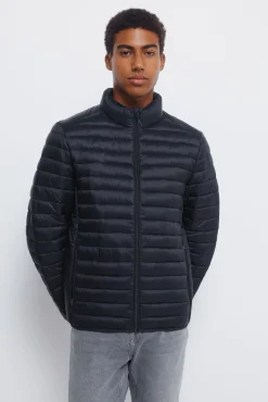 Springfield Casacos-Casaco acolchoada azul