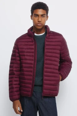 Springfield Casacos-Casaco acolchoada estampado