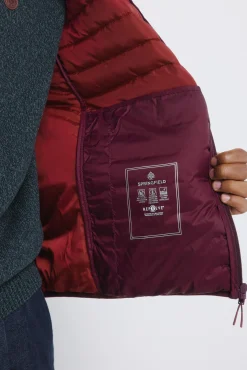 Springfield Casacos-Casaco acolchoada estampado