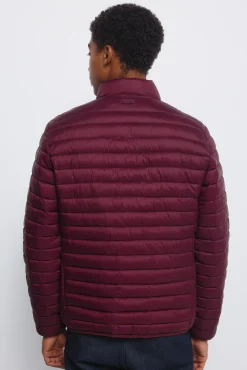 Springfield Casacos-Casaco acolchoada estampado