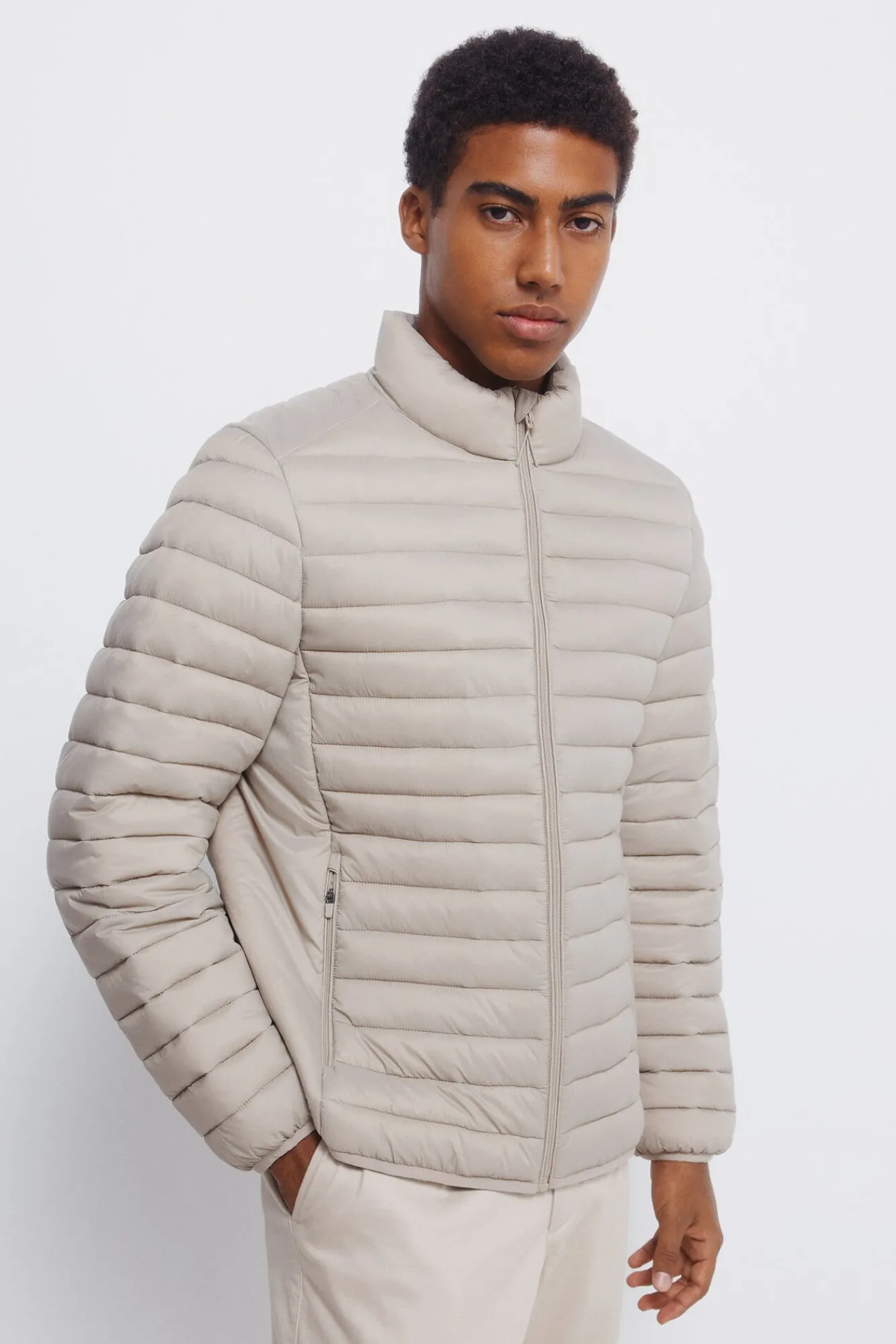 Springfield Casacos-Casaco acolchoada cru