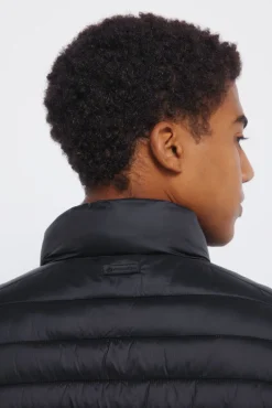 Springfield Casacos-Casaco acolchoada preto