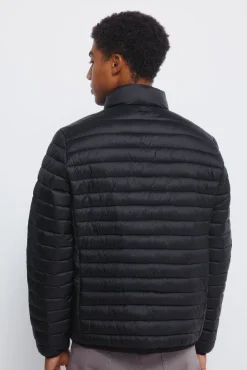 Springfield Casacos-Casaco acolchoada preto