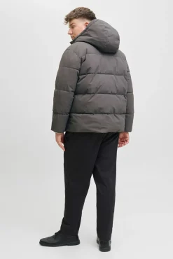 Jack & Jones PLUS Casacos-Casaco acolchoada masculina cinzento