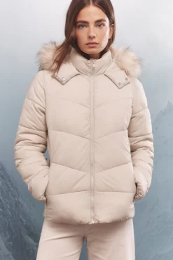 Springfield Sobretudos|Casacos-Casaco acolchoada Sorona Aura com capuz castanho