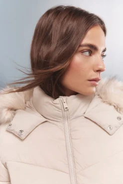 Springfield Sobretudos|Casacos-Casaco acolchoada Sorona Aura com capuz castanho