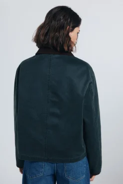 Springfield Sobretudos-Casaco curto encerado Caqui escuro