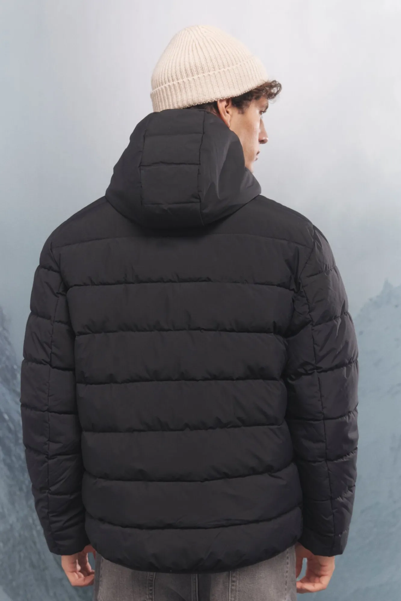 Springfield Casacos-Casaco térmica acolchoada preto