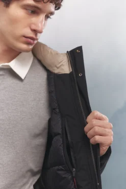 Springfield Casacos-Casaco térmica acolchoada preto