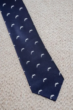 Celopman Gravatas-Desenho de gravata azul