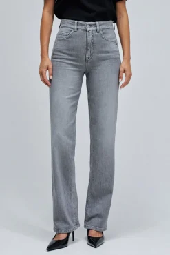 Salsa Jeans Jeans-Fé empurra em jeans reto Cinzento