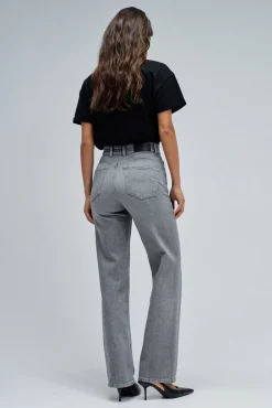 Salsa Jeans Jeans-Fé empurra em jeans reto Cinzento