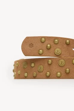 Hoss Intropia Cintos-Liana. Cinto de croute com tachas Castanho