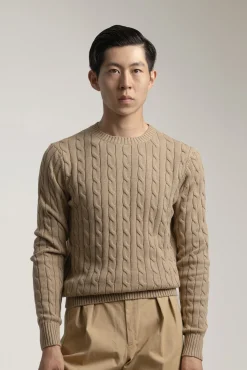 PuroEGO Camisolas-Malha de algodão trançada Castanho