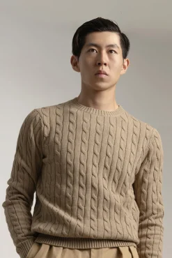 PuroEGO Camisolas-Malha de algodão trançada Castanho