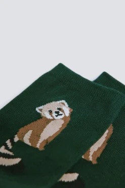 Springfield Meias-Meia longa de guaxinim verde