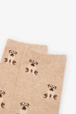 Cortefiel Meias-Meia longa para cachorro Castanho