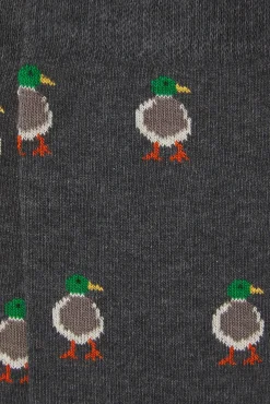 Kiff-Kiff Meias-Meia masculina de meia regular cinzento