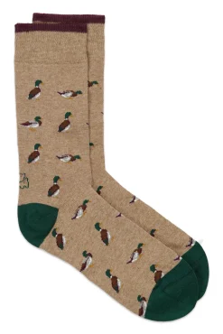 Kiff-Kiff Meias-Meia masculina de meia regular cinzento