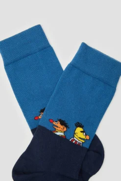 Besocks Meias|Meias-Meias altas da Vila Sésamo em algodão orgânico azul