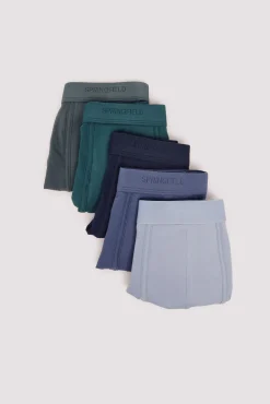 Springfield Roupa Interior-Pack 5 boxers azul