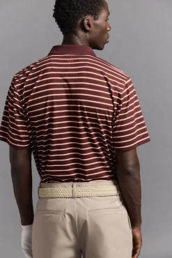 Pedro del Hierro Polos|Desporto-Polo de golfe riscas Bordeaux