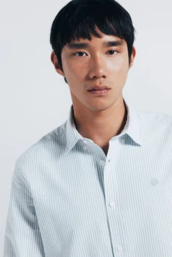 Springfield Camisas-Riscas Oxford listrada verde