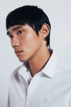 Springfield Camisas-Riscas Oxford listrada azul