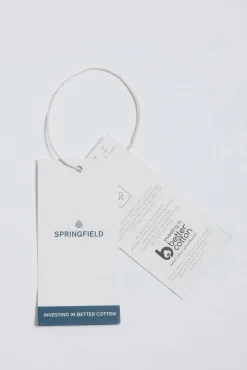 Springfield Camisas-Riscas Oxford listrada vermelho