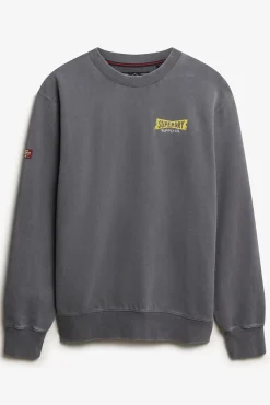 Superdry Sweatshirts-Sweatshirt azul