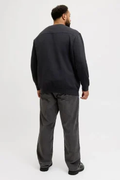 Jack & Jones PLUS Sweatshirts-Sweatshirt com capuz e logo preto