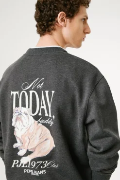 Pepe Jeans Sweatshirts-Sweatshirt Terry cinzento